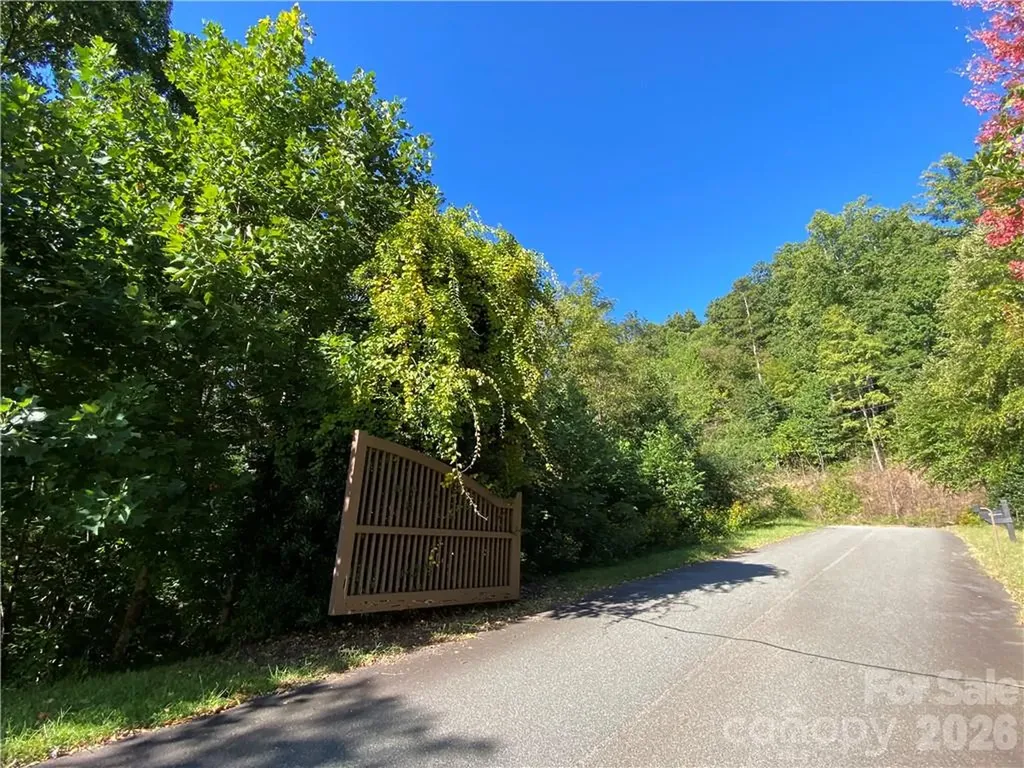 46 Holmstead Drive Lake Lure NC 28746
