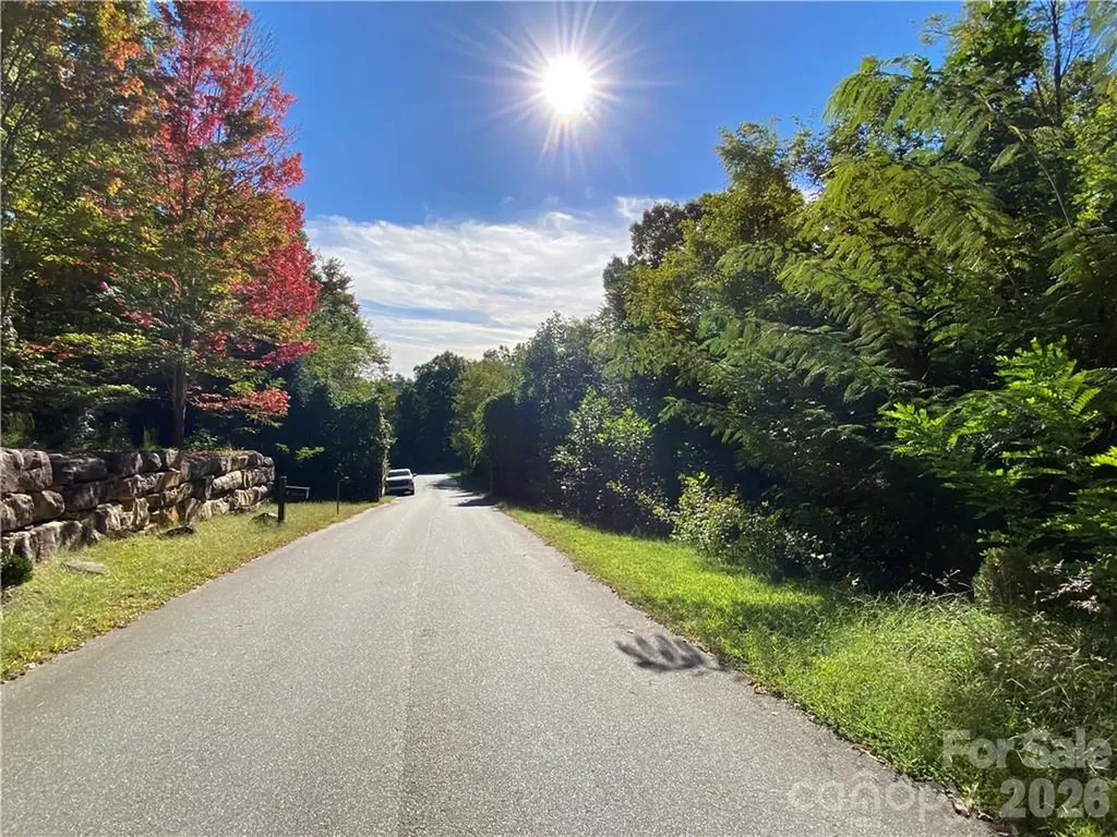 46 Holmstead Drive Lake Lure NC 28746