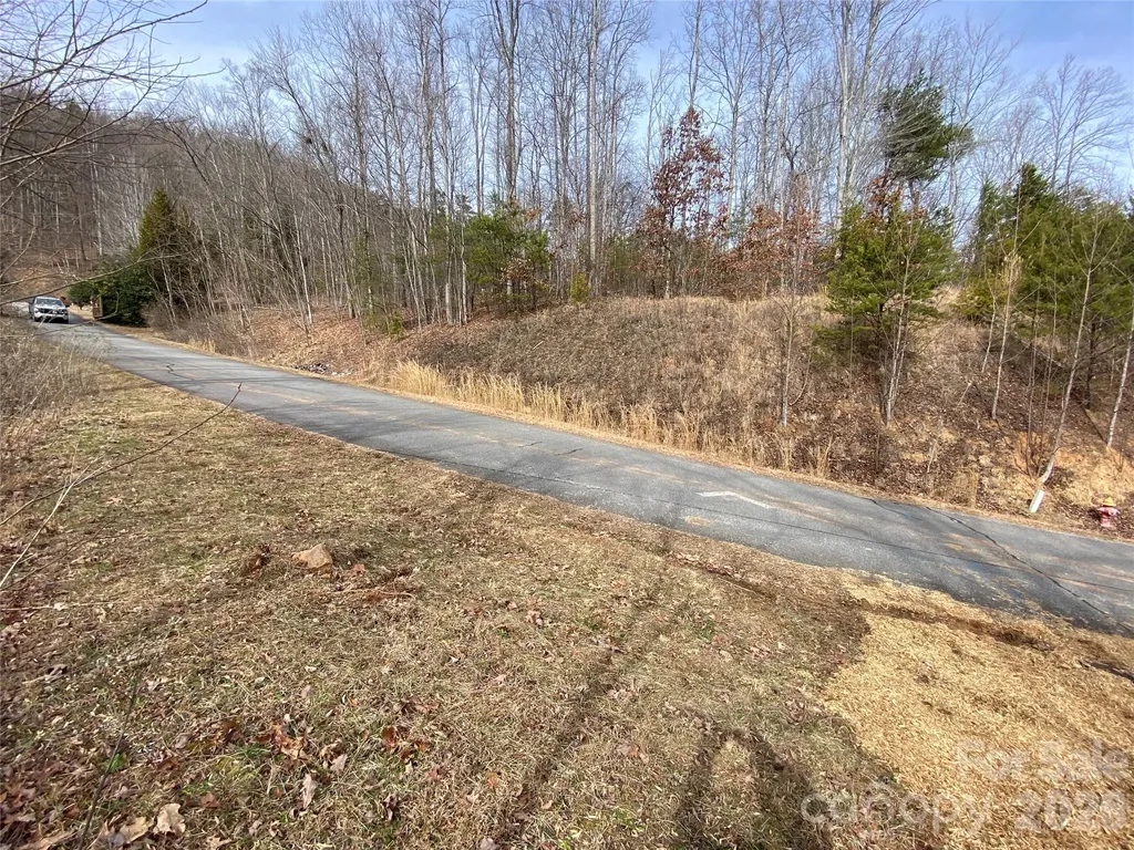 46 Holmstead Drive Lake Lure NC 28746