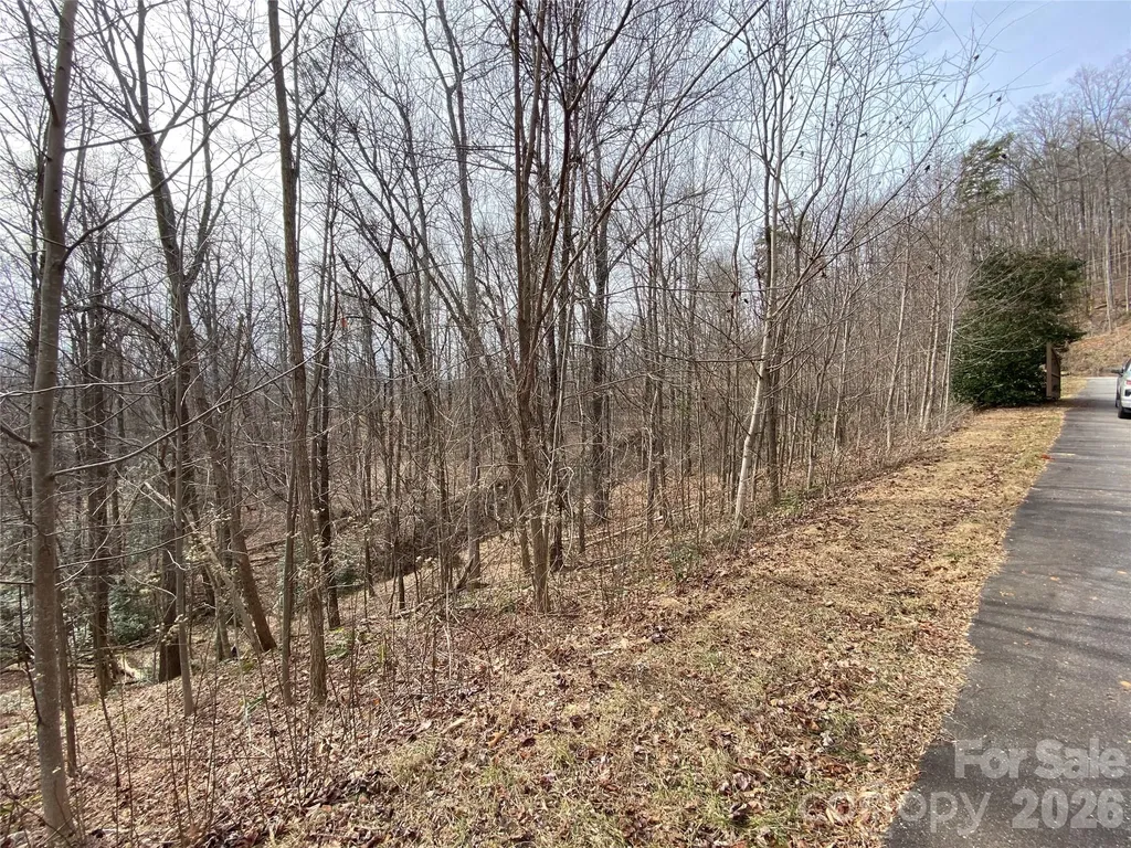 46 Holmstead Drive Lake Lure NC 28746