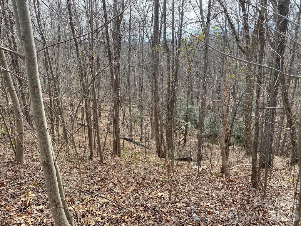 46 Holmstead Drive Lake Lure NC 28746