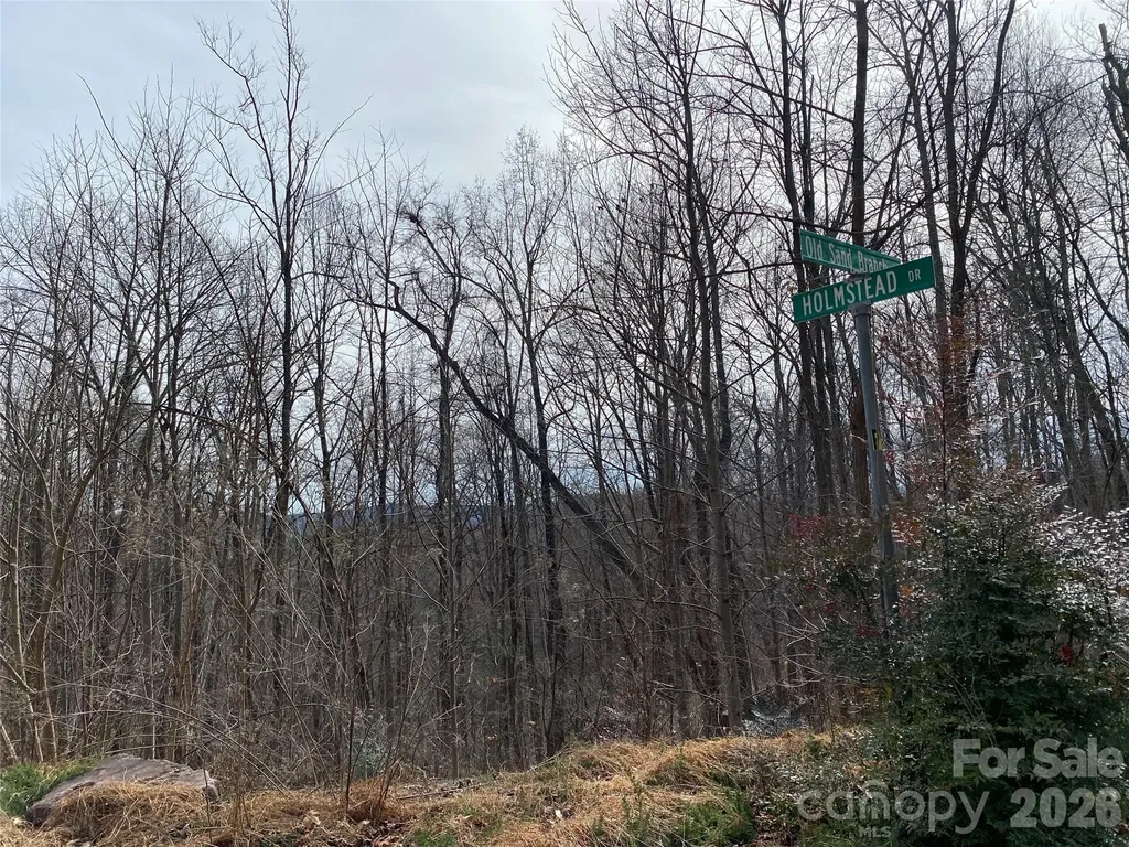 46 Holmstead Drive Lake Lure NC 28746