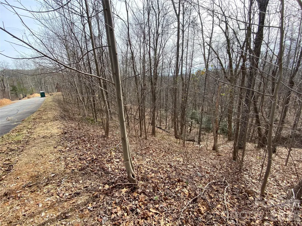 46 Holmstead Drive Lake Lure NC 28746