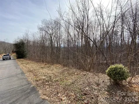 46 Holmstead Drive Lake Lure NC 28746