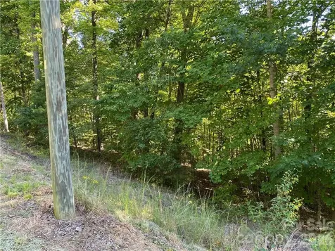 46 Holmstead Drive Lake Lure NC 28746
