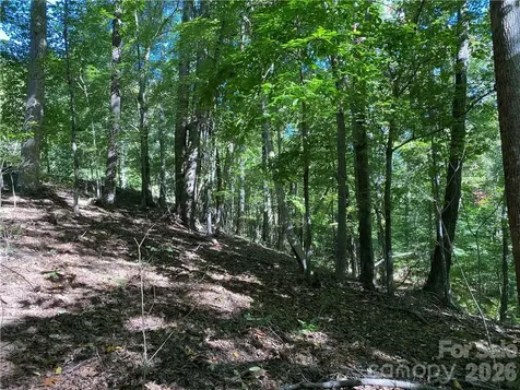 46 Holmstead Drive Lake Lure NC 28746
