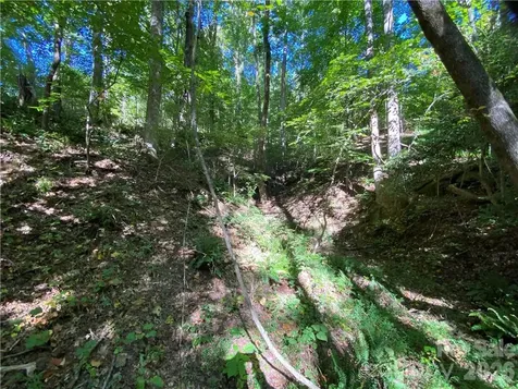 46 Holmstead Drive Lake Lure NC 28746