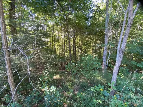 46 Holmstead Drive Lake Lure NC 28746