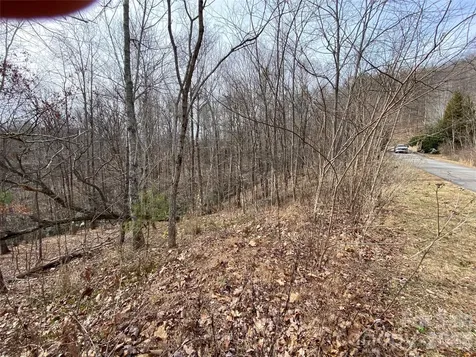 46 Holmstead Drive Lake Lure NC 28746