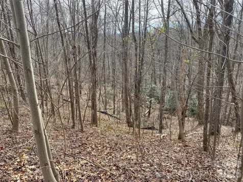 46 Holmstead Drive Lake Lure NC 28746