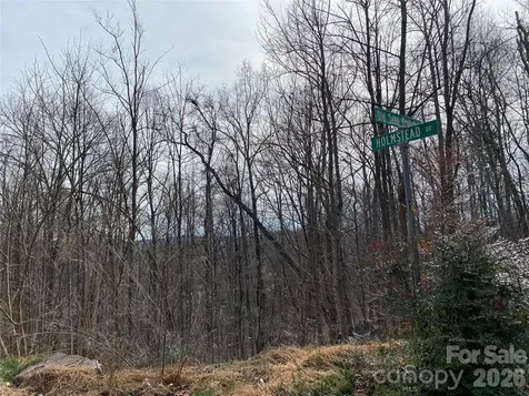 46 Holmstead Drive Lake Lure NC 28746