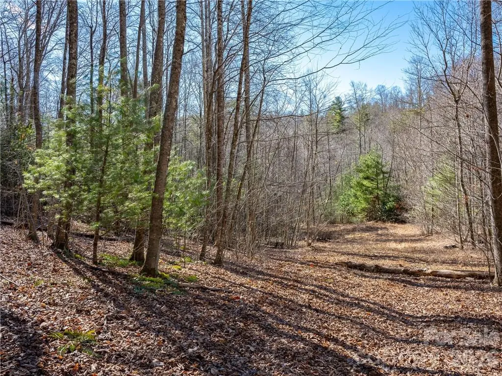 Tbd Long Branch Road Swannanoa NC 28778