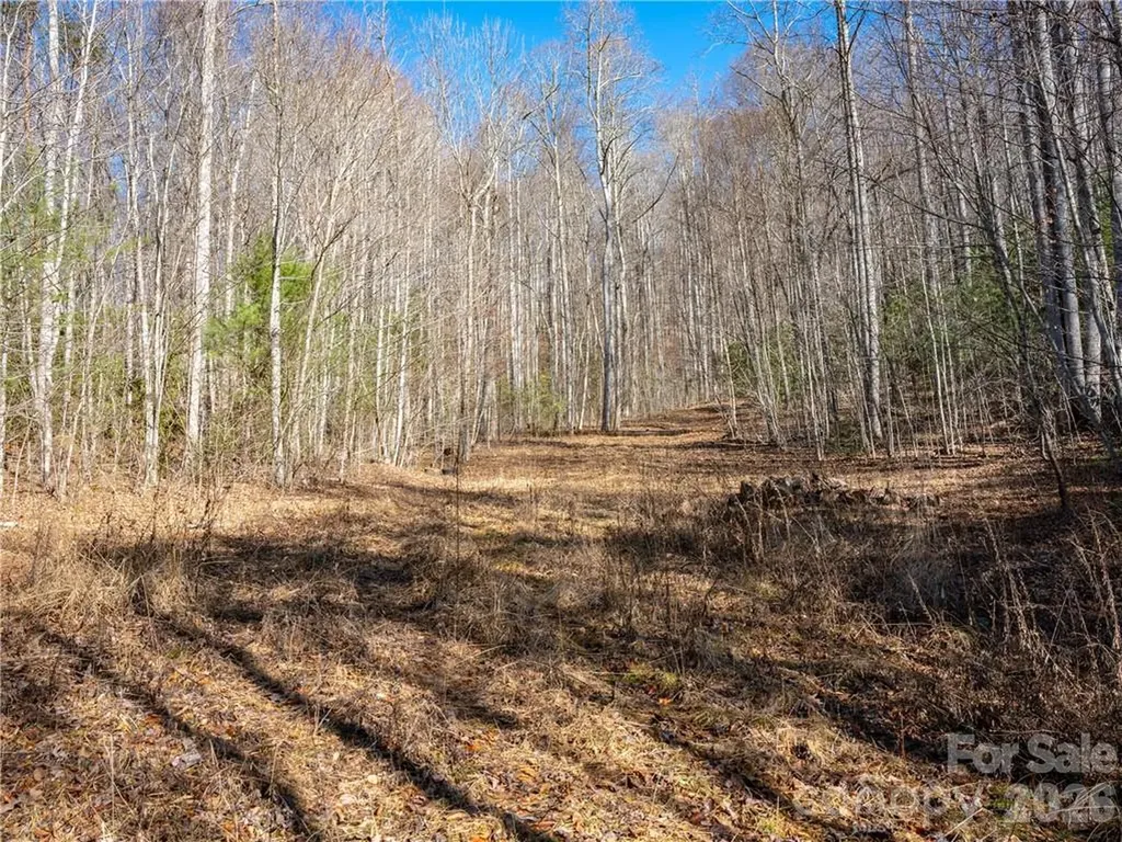 Tbd Long Branch Road Swannanoa NC 28778