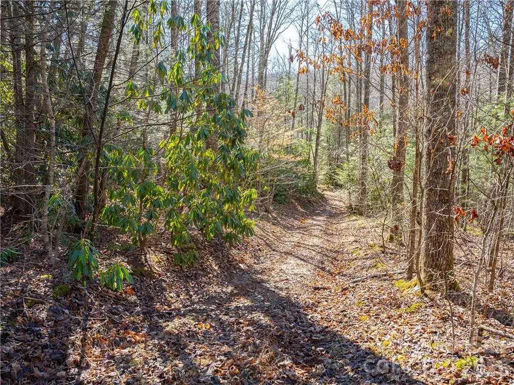 Tbd Long Branch Road Swannanoa NC 28778