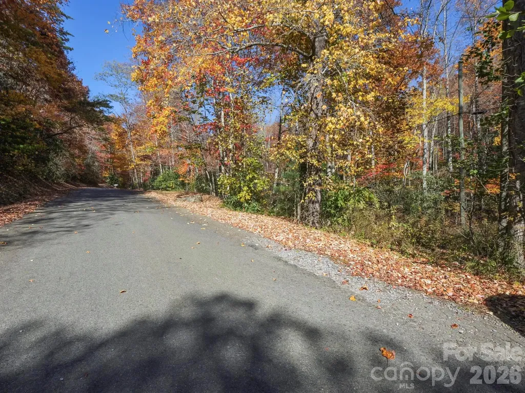 Tbd Long Branch Road Swannanoa NC 28778