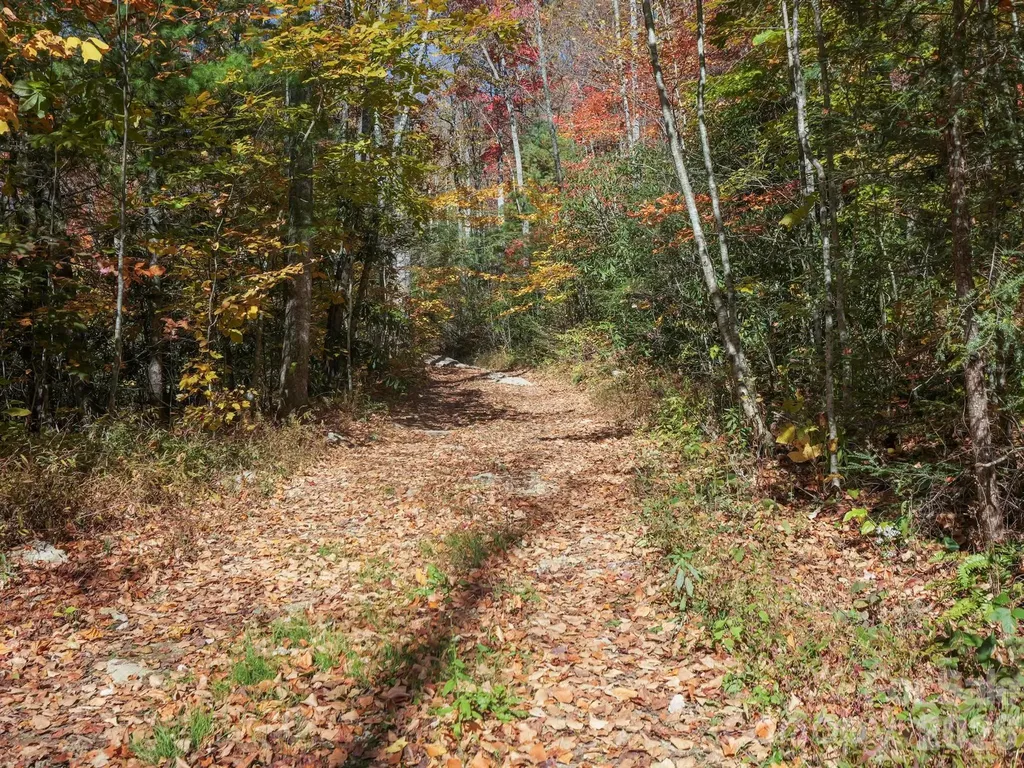 Tbd Long Branch Road Swannanoa NC 28778