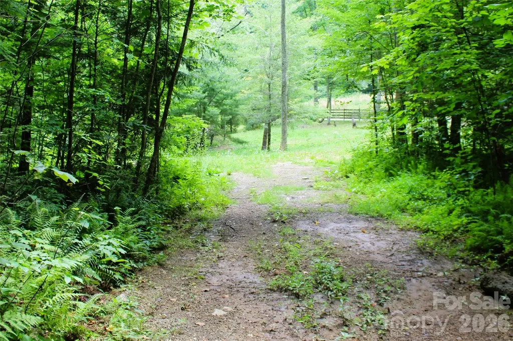 Tbd Long Branch Road Swannanoa NC 28778