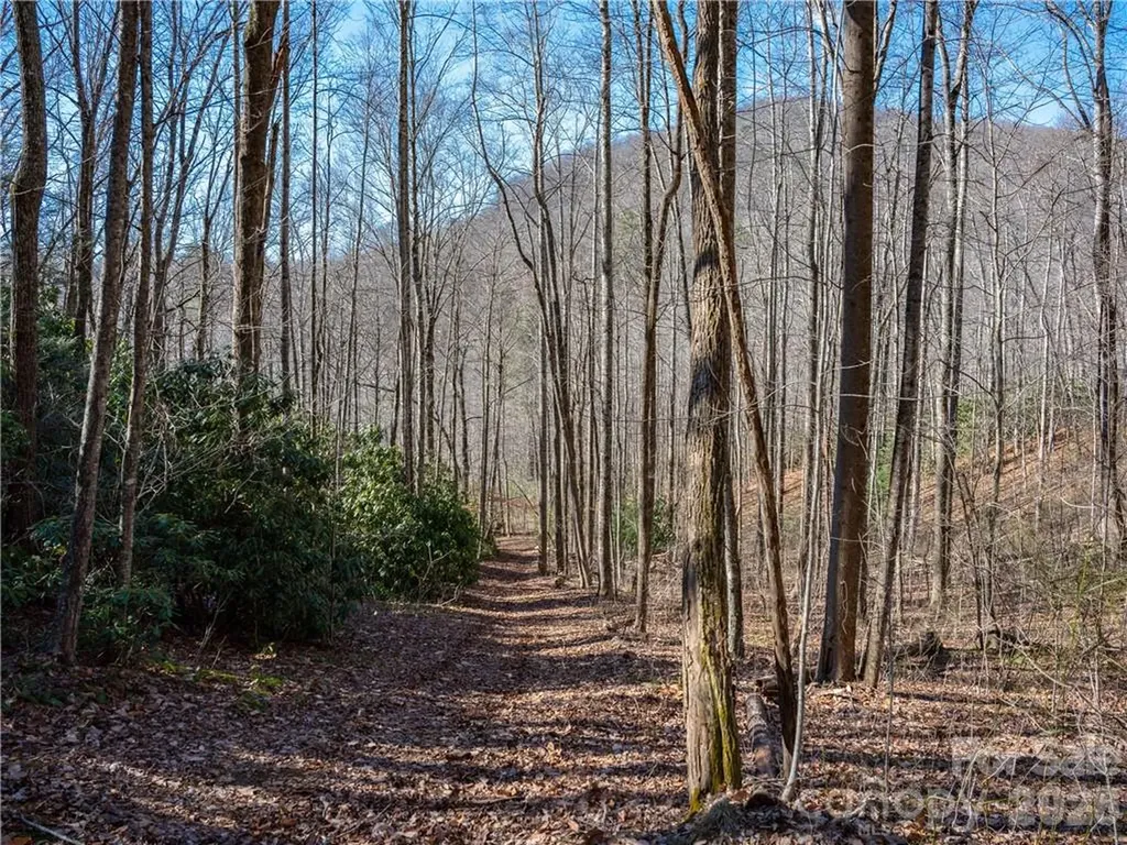 Tbd Long Branch Road Swannanoa NC 28778
