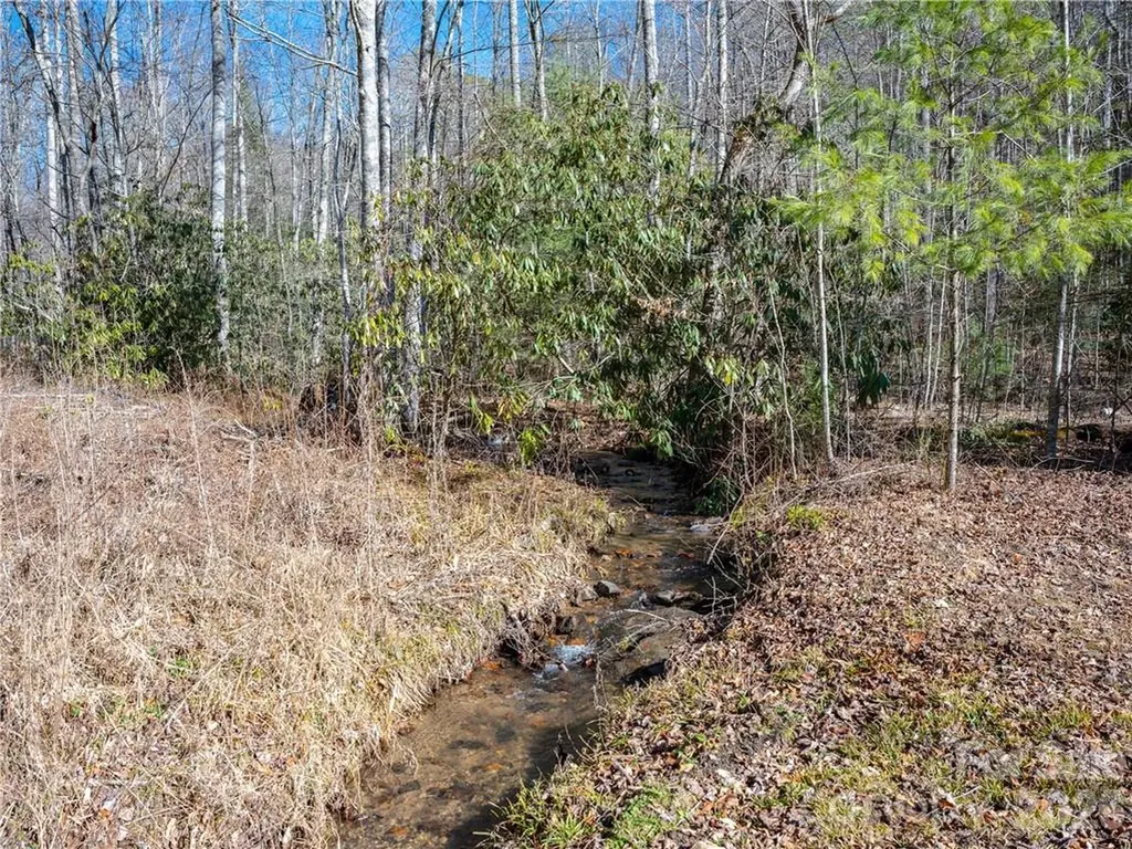 Tbd Long Branch Road Swannanoa NC 28778