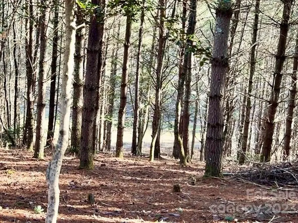 2.29 Acres Lot 94 Crescent Ridge Drive Lenoir NC 28645