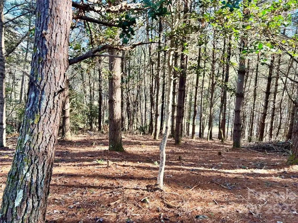 2.29 Acres Lot 94 Crescent Ridge Drive Lenoir NC 28645