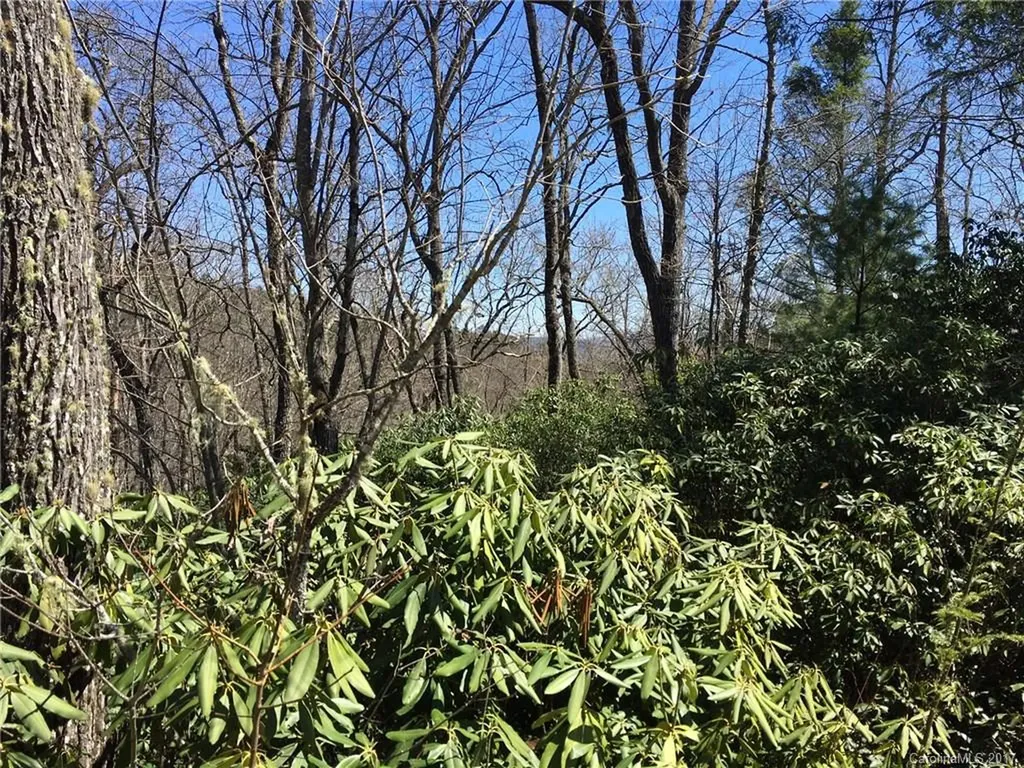 M80 Pine Mountain Trail Brevard NC 28712