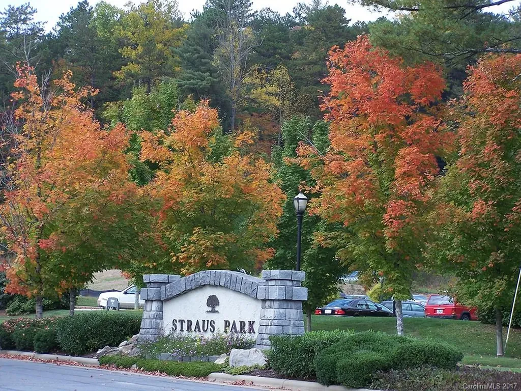 M80 Pine Mountain Trail Brevard NC 28712
