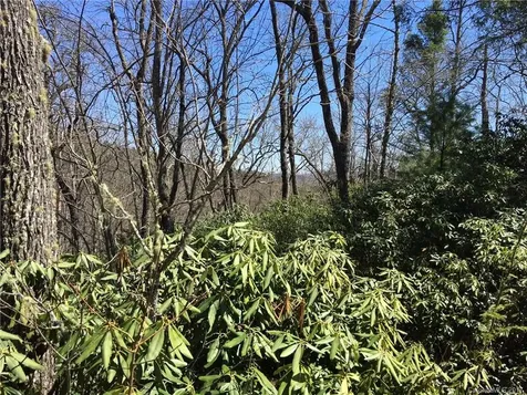 M80 Pine Mountain Trail Brevard NC 28712