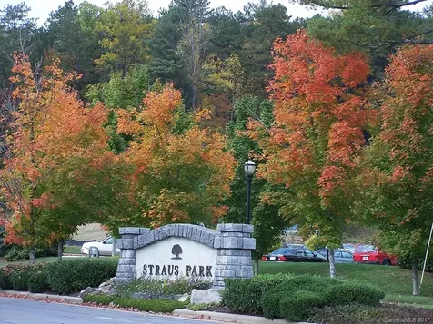 M80 Pine Mountain Trail Brevard NC 28712