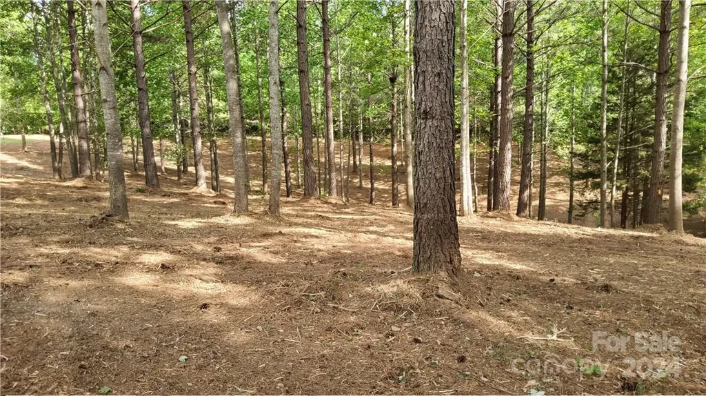 0 Hearthstone Drive Union Mills NC 28167