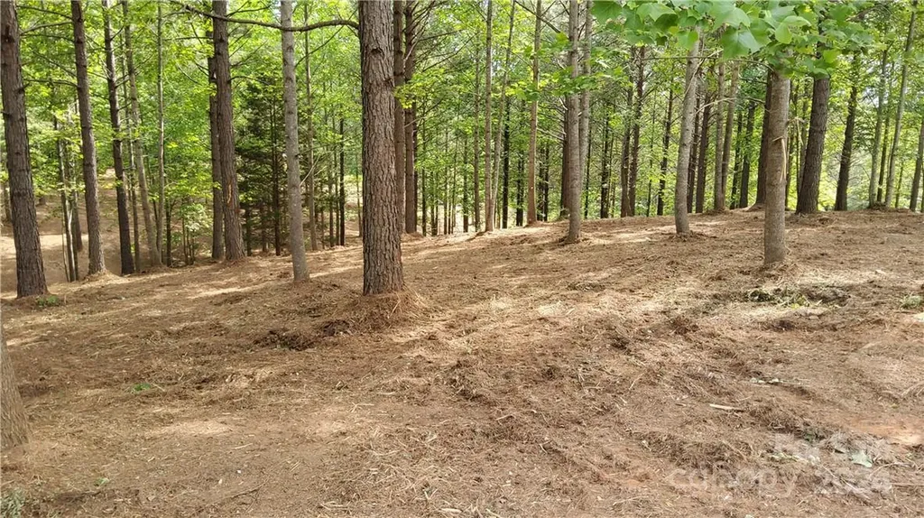 0 Hearthstone Drive Union Mills NC 28167