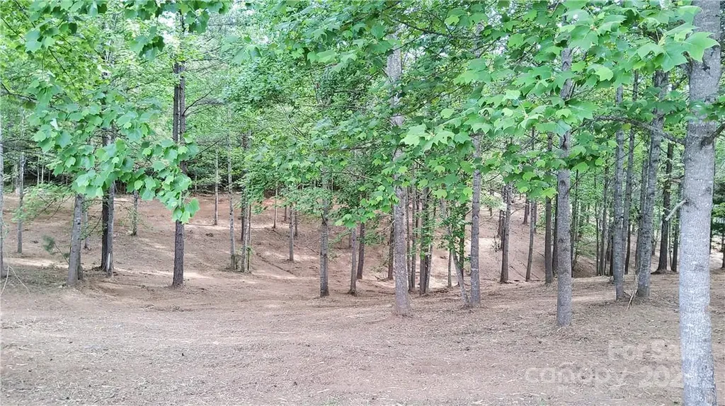 0 Hearthstone Drive Union Mills NC 28167