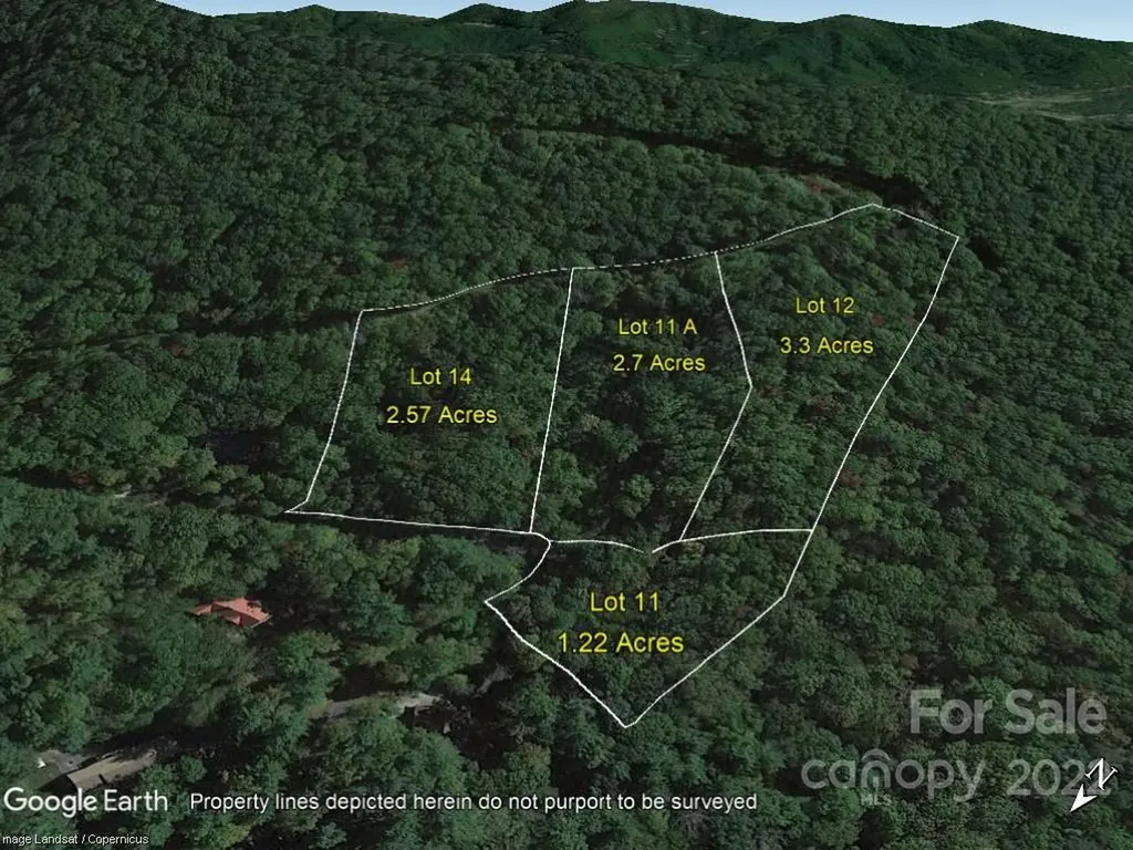 99999 Bartlett Mountain Road Asheville NC 28805