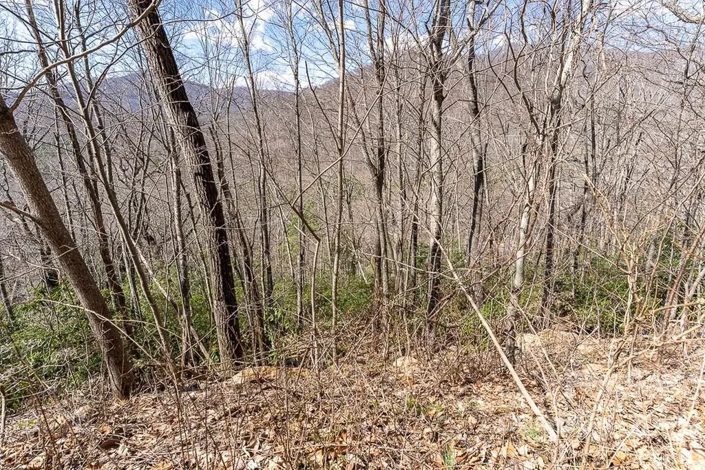 99999 Bartlett Mountain Road Asheville NC 28805