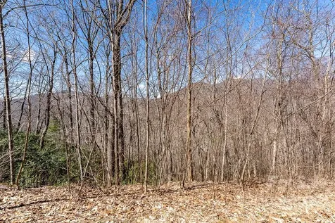 99999 Bartlett Mountain Road Asheville NC 28805