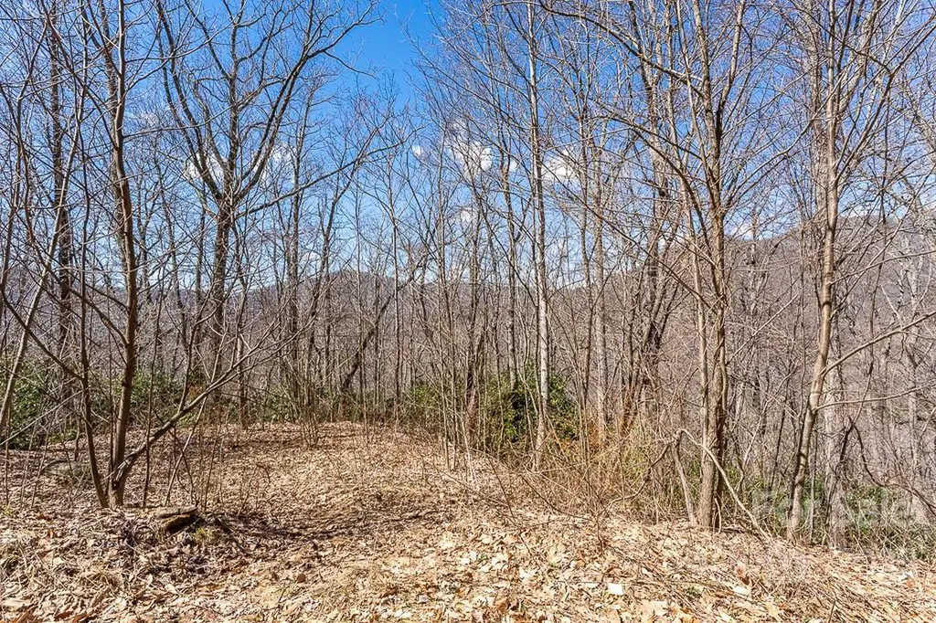 99999 Bartlett Mountain Road Asheville NC 28805