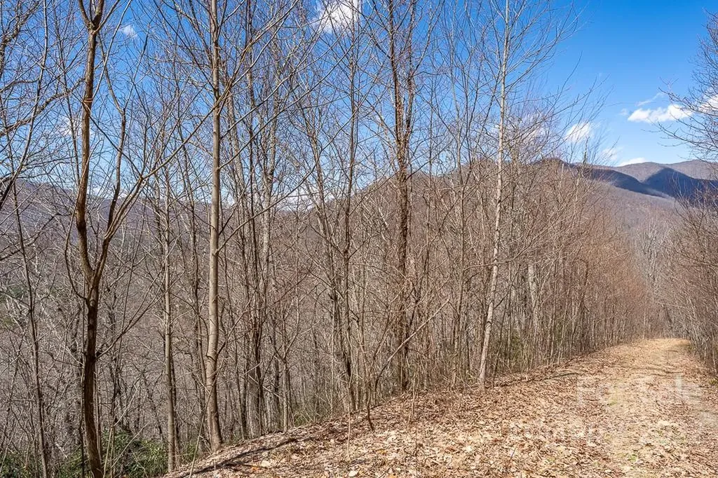 99999 Bartlett Mountain Road Asheville NC 28805