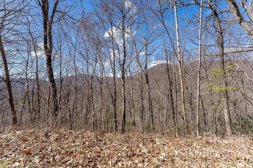 99999 Bartlett Mountain Road Asheville NC 28805