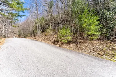99999 Bartlett Mountain Road Asheville NC 28805