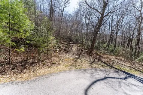 99999 Bartlett Mountain Road Asheville NC 28805