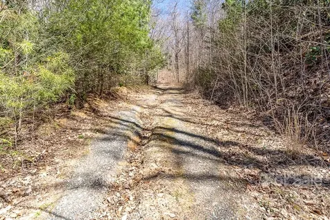 99999 Bartlett Mountain Road Asheville NC 28805