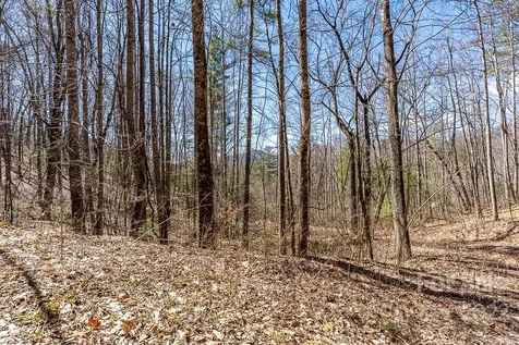 99999 Bartlett Mountain Road Asheville NC 28805