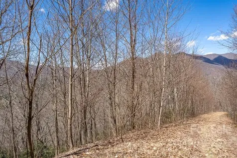 99999 Bartlett Mountain Road Asheville NC 28805
