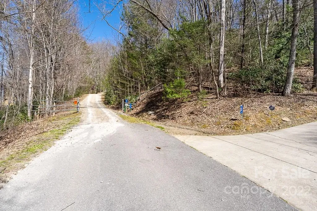 99999 Bartlett Mountain Road Asheville NC 28805