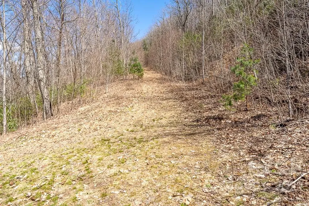 99999 Bartlett Mountain Road Asheville NC 28805