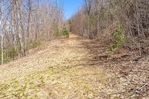 99999 Bartlett Mountain Road Asheville NC 28805