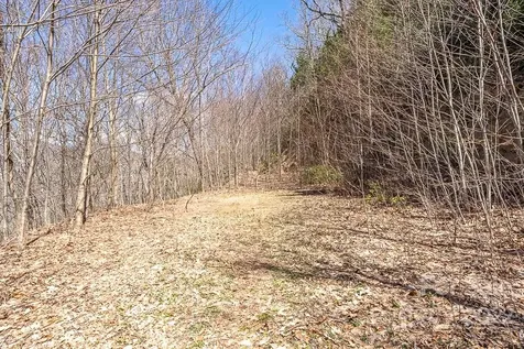99999 Bartlett Mountain Road Asheville NC 28805