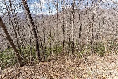 99999 Bartlett Mountain Road Asheville NC 28805