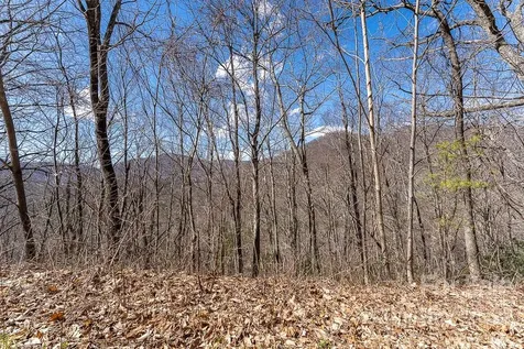 99999 Bartlett Mountain Road Asheville NC 28805
