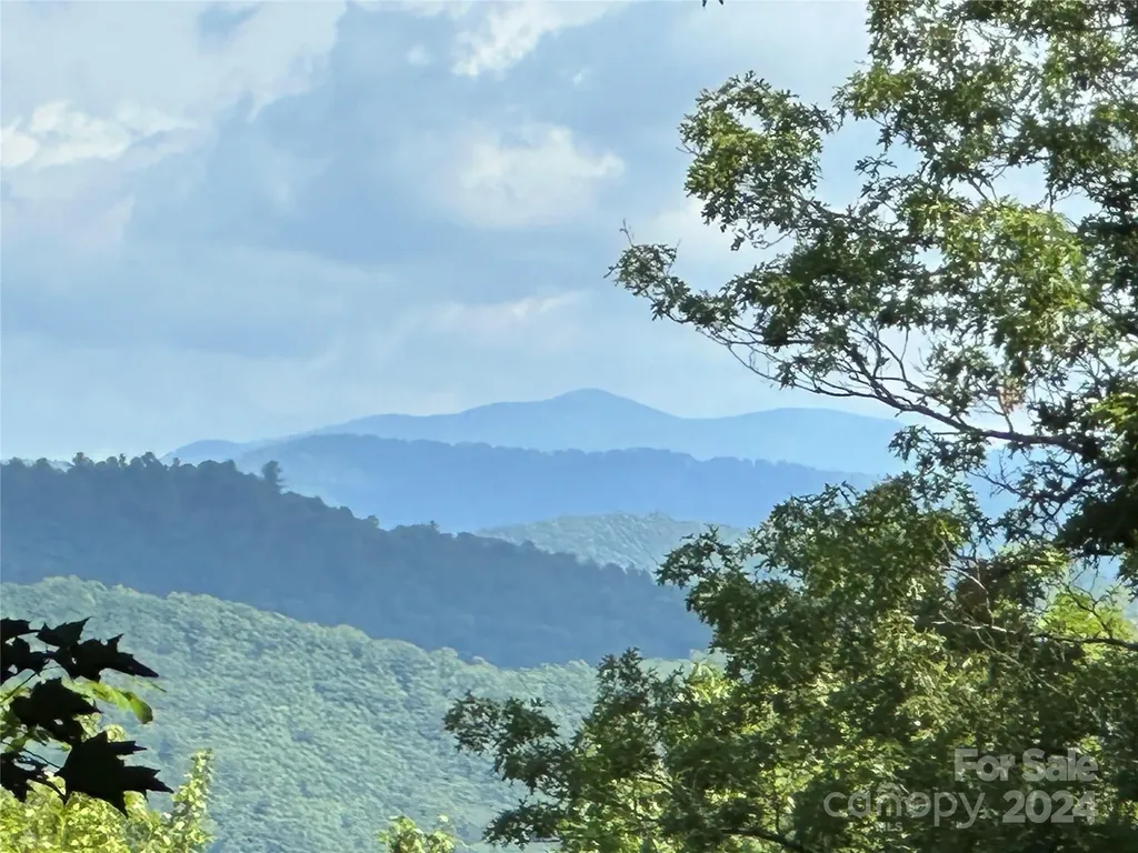 79 Peppervine Circle Rosman NC 28772